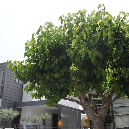 ארגאקה Agnanti Apartments מראה חיצוני תמונה