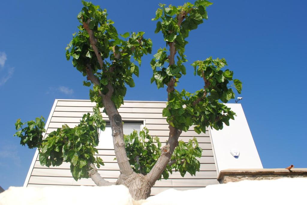 ארגאקה Agnanti Apartments מראה חיצוני תמונה