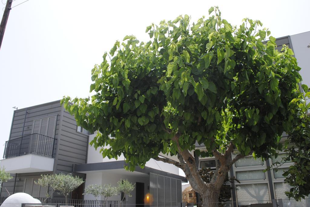 ארגאקה Agnanti Apartments מראה חיצוני תמונה
